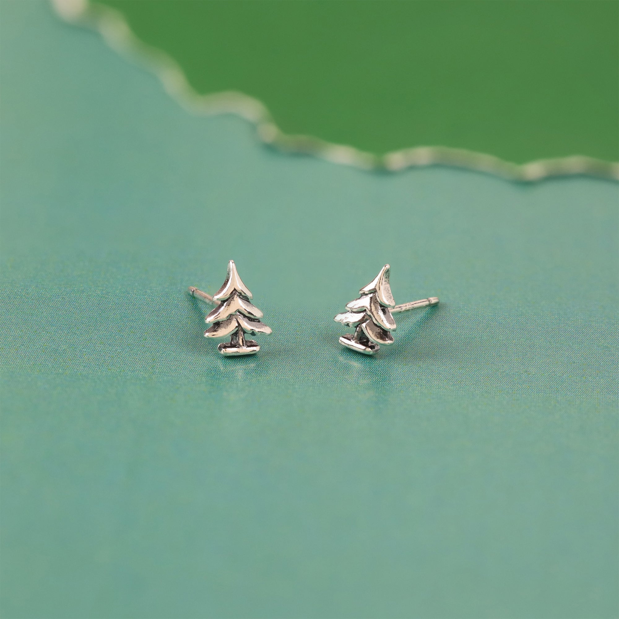 Boma Jewelry Pacific Northwest Inspired Jewelry 🌲 Blog Post Cover