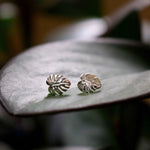 Boma Jewelry Earrings Sterling Silver Monstera Leaf Studs