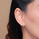 Boma Jewelry Orange Capybara Earring Studs