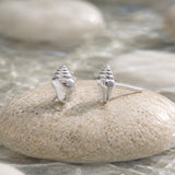 Mini Seaside Shell Stud Earrings