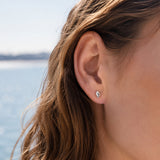 Mini Seaside Shell Stud Earrings