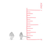 Mini Seaside Shell Stud Earrings