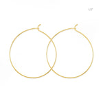 Boma Jewelry Earrings 14K Gold Plated / 1.5" Aiko Hoop Earrings