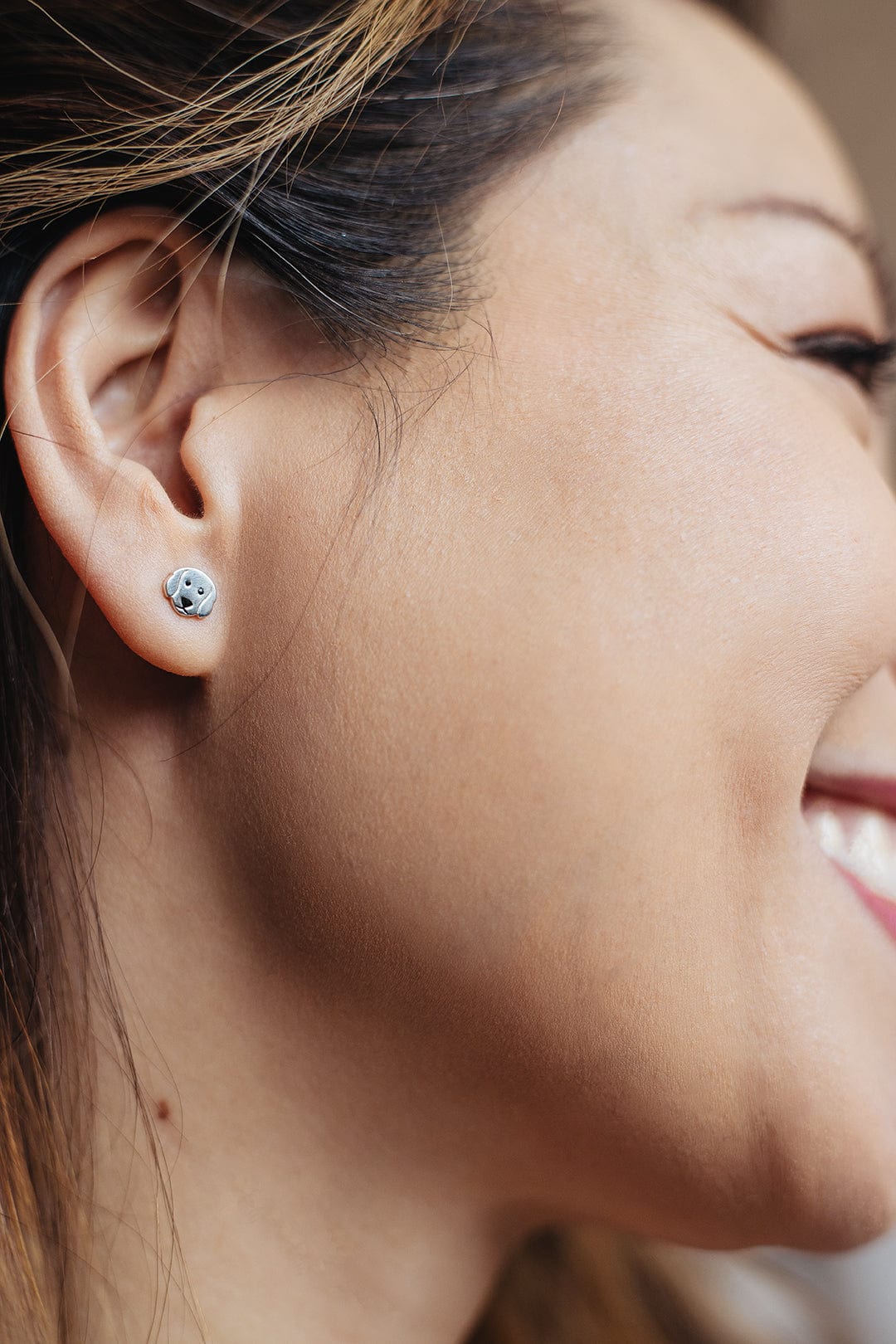 Boma Jewelry Earrings Labradoodle Dog Studs