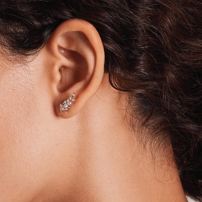 Boma Jewelry Earrings Leaf Ear Crawlers Stud Earrings