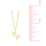 Boma Jewelry Necklaces Zodiac Necklace